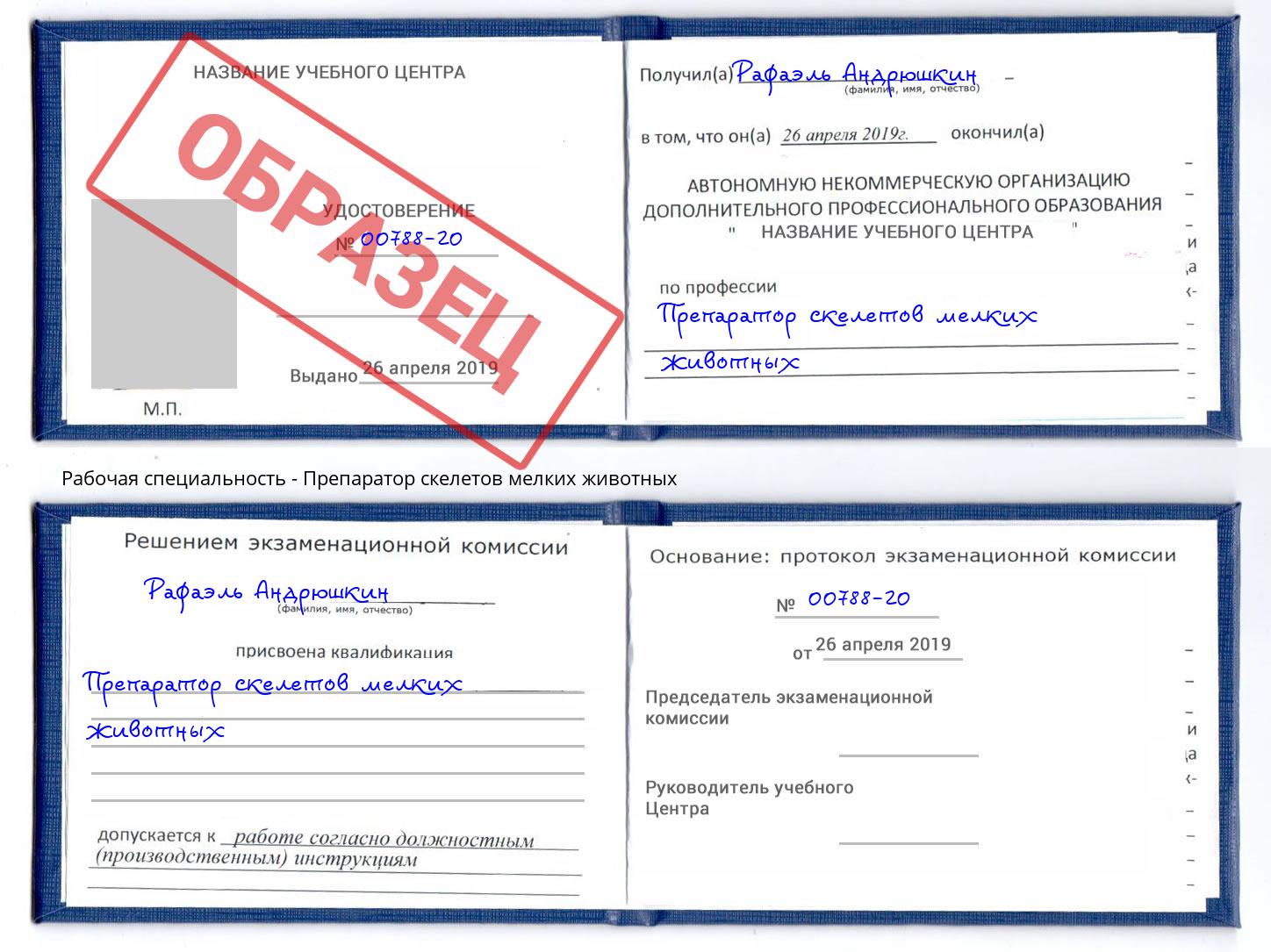 Препаратор скелетов мелких животных Хабаровск