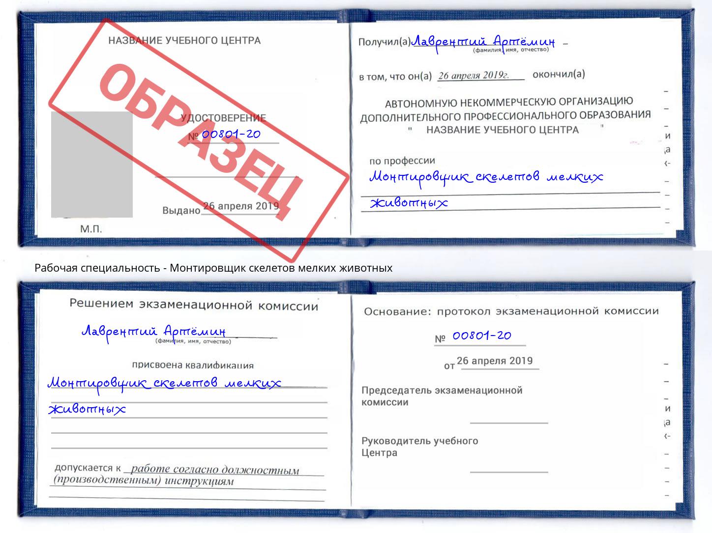 Монтировщик скелетов мелких животных Хабаровск