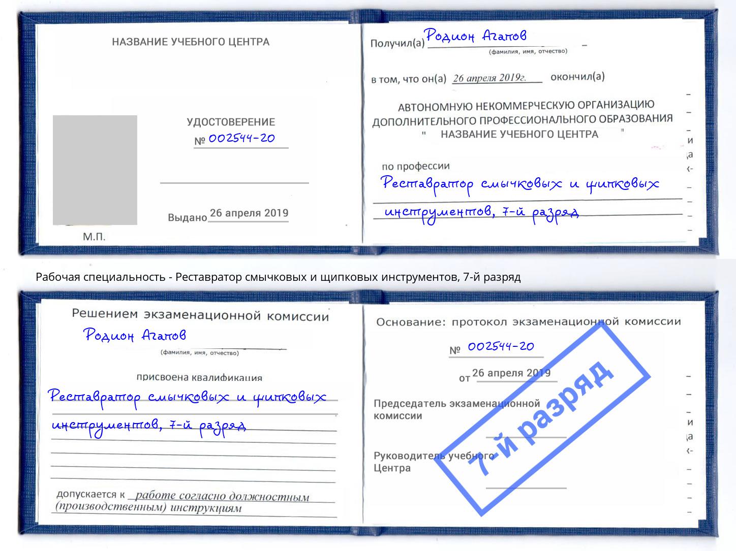 корочка 7-й разряд Реставратор смычковых и щипковых инструментов Хабаровск