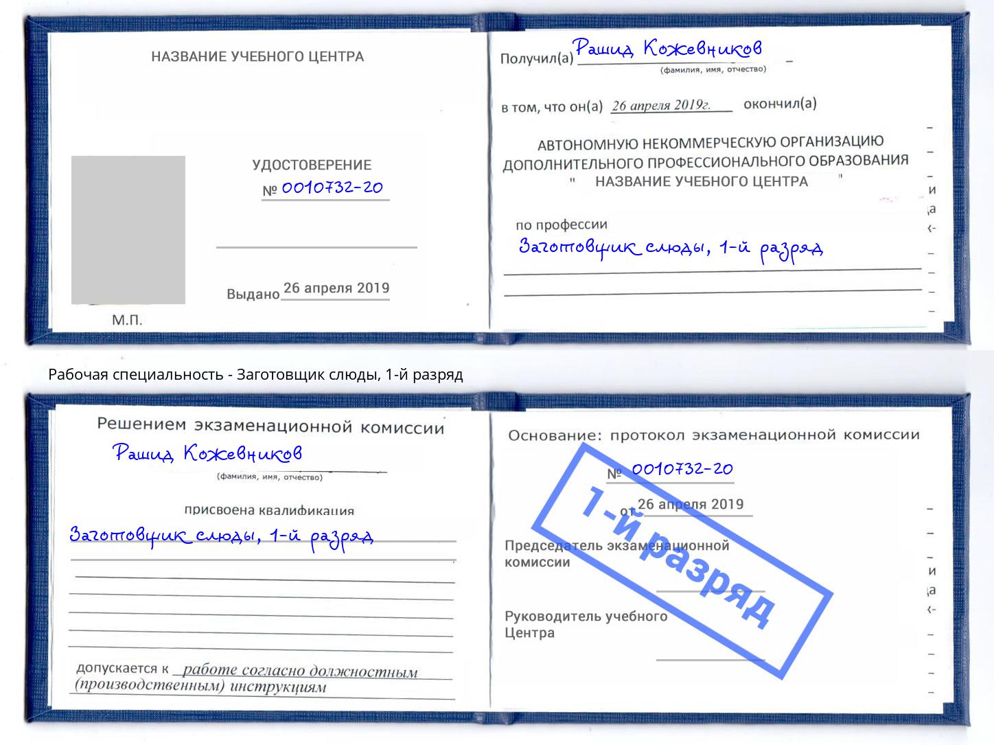 корочка 1-й разряд Заготовщик слюды Хабаровск